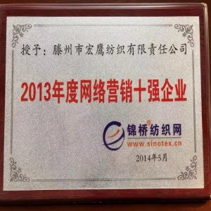 紡織網(wǎng)絡(luò)知名度十強企業(yè)